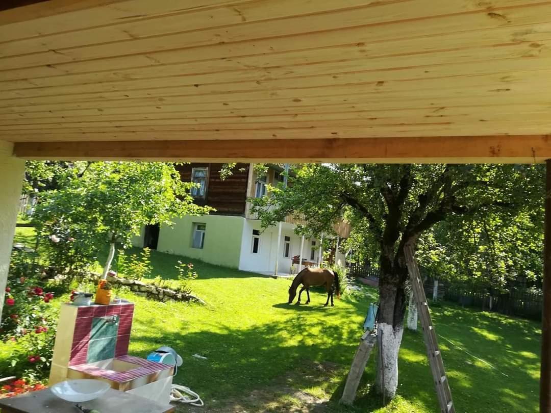 Guest House Lailashi Surmushi Zewnętrze zdjęcie
