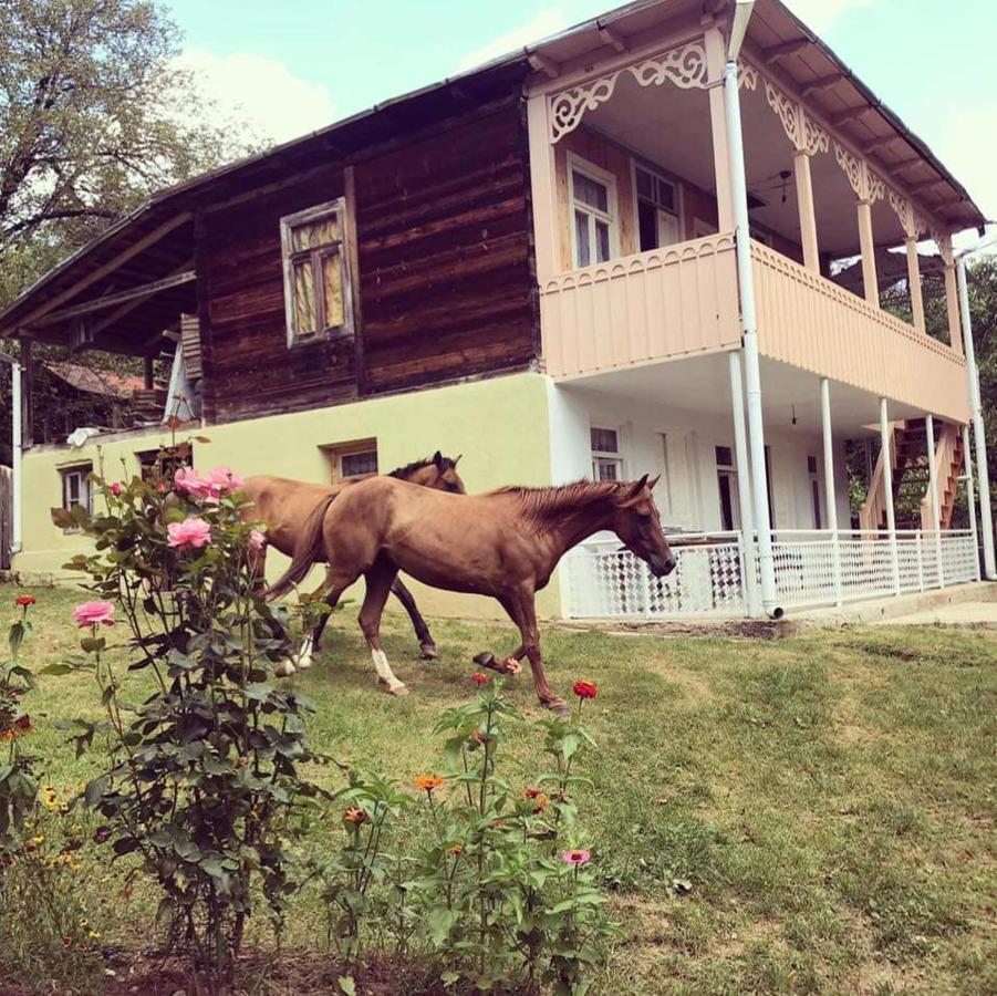 Guest House Lailashi Surmushi Zewnętrze zdjęcie