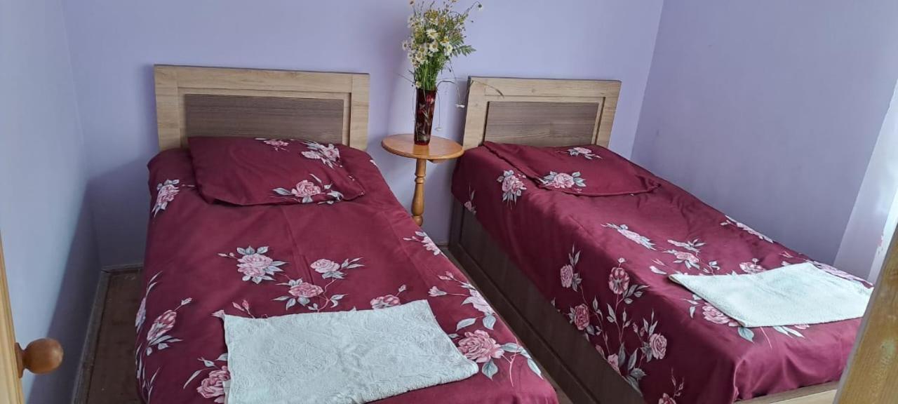 Guest House Lailashi Surmushi Zewnętrze zdjęcie
